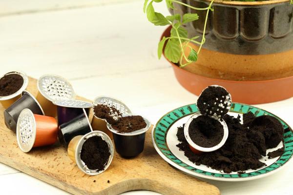 Are Coffee Grounds Good for Plants? - Coffee as a natural repellent for plants