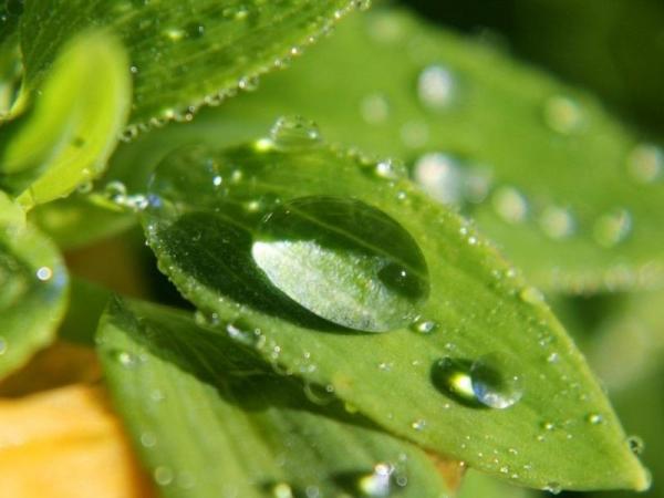 What Is Water Condensation? - Condensation: examples
