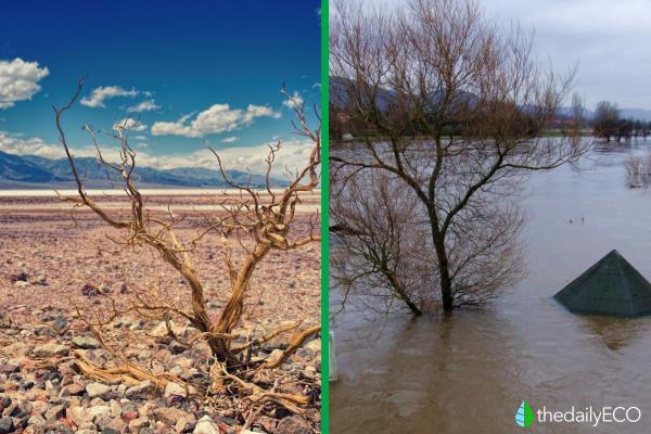 El Niño Phenomenon - What It Is, Causes and Consequences - Consequences of the El Niño phenomenon