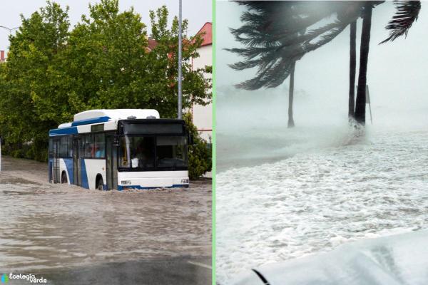 La Niña Phenomenon - What It Is, Causes and Consequences - Consequences of the La Niña phenomenon