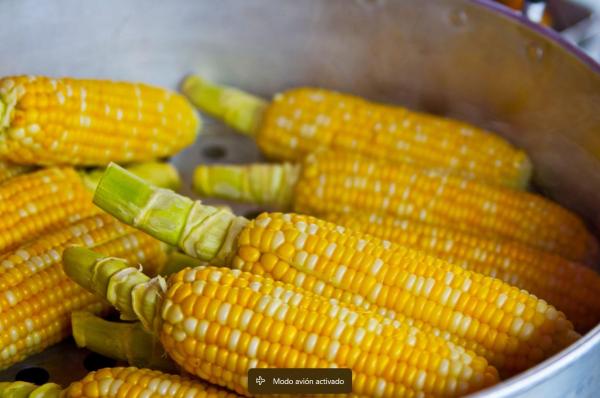 Types of Autumn Fruit - Fall Fruits - Corn