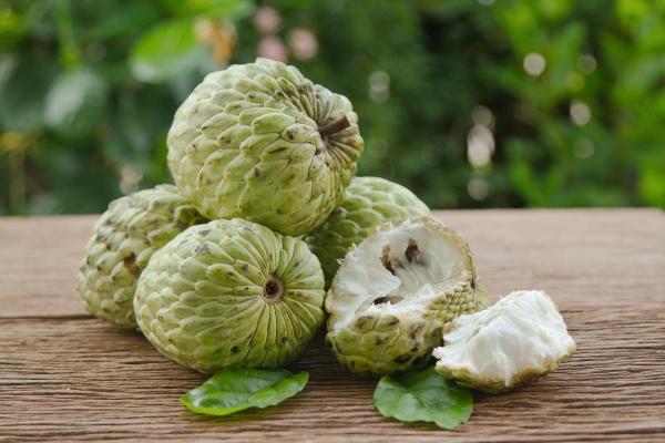 Types of Autumn Fruit - Fall Fruits - Custard apple