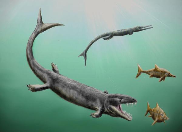 Were There Ocean Dinosaurs? - Dakosaurus spp.