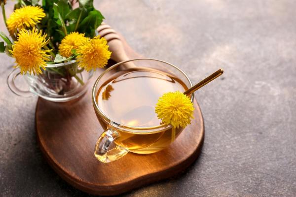 Herbal Infusions to Improve Fatty Liver Health - Dandelion Root Tea (Taraxacum officinale)