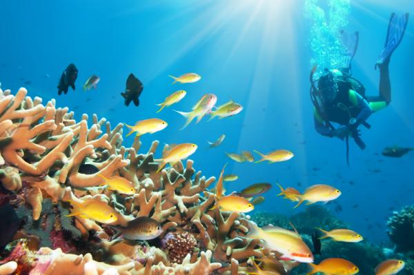 What is the Great Blue Hole? - Danger of the Great Blue Hole
