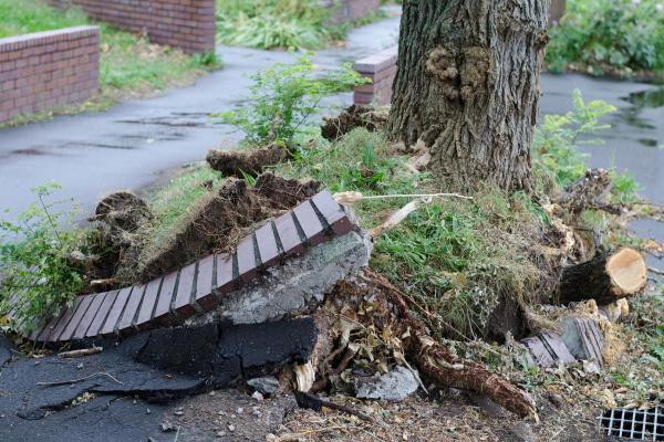 When Is It Considered Strong Wind? - Dangers of strong wind