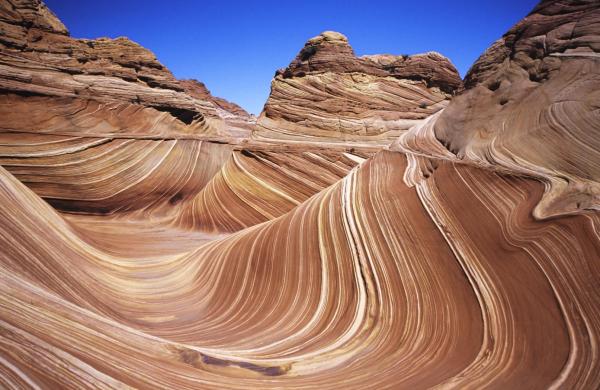 Types of Terrestrial Biomes on Earth - Desert