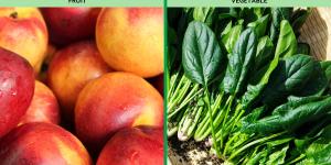 Difference Between a Fruit vs. Vegetable