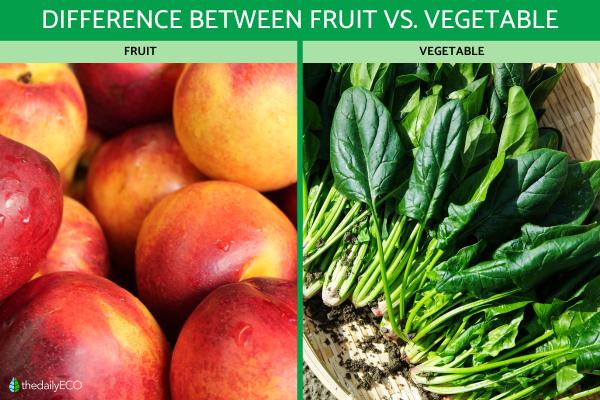 Difference Between a Fruit vs. Vegetable