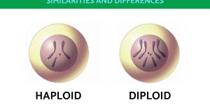 Difference Between Haploid and Diploid Cells
