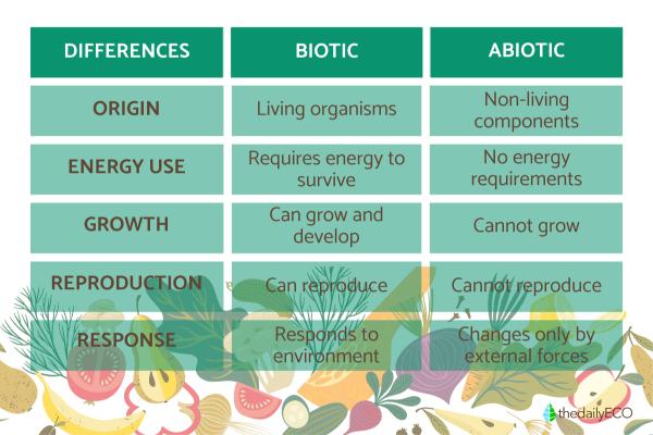 What Is the Difference Between Biotic and Abiotic Factors? - Differences between biotic and abiotic factors