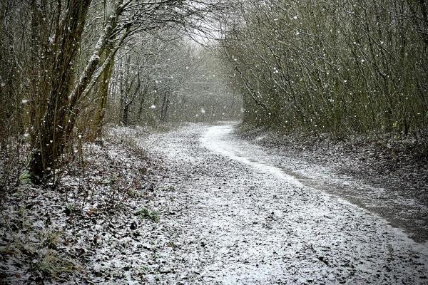 What Are Snow Pellets and How Are They Formed? - Differences between snow and snow pellets