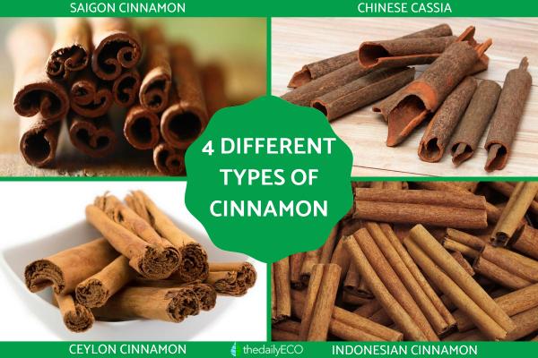 Different Types of Cinnamon