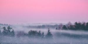Different Types of Fog