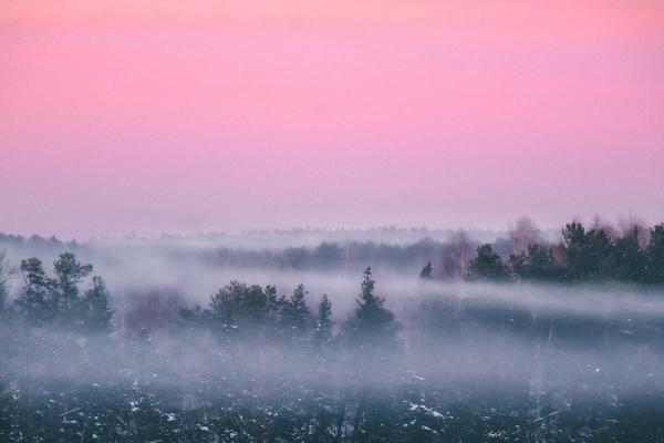 Different Types of Fog