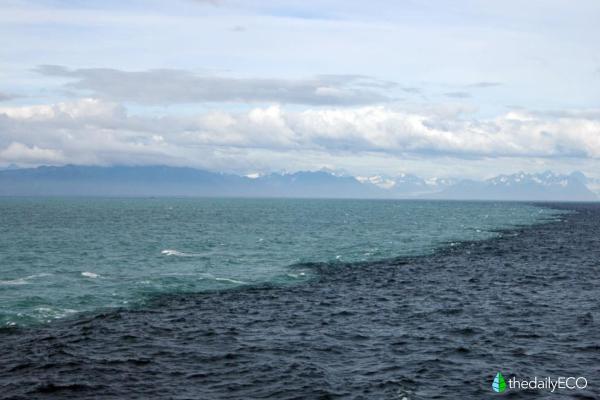 Do the Atlantic and Pacific Oceans Mix with Each Other? - Do the Atlantic and Pacific Oceans mix with each other?