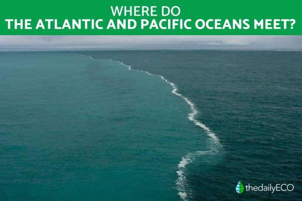 Do the Atlantic and Pacific Oceans Mix with Each Other?