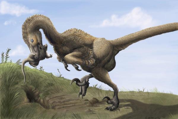 What Dinosaurs Were Found in Spain? - Dromaeosauridae