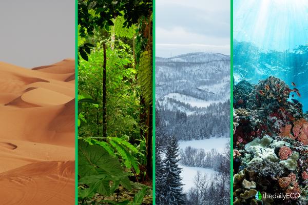 What Are the 3 Types of Species Biodiversity? - Ecosystem biodiversity