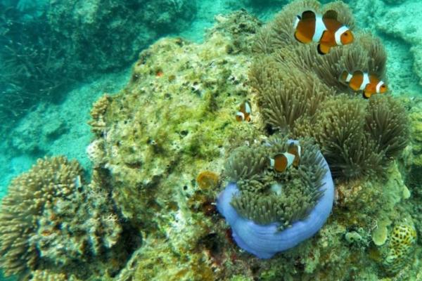 The Difference Between Biosphere, Ecosphere and Ecosystem - Ecosystem definition
