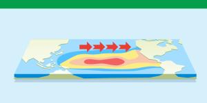 El Niño Phenomenon - What It Is, Causes and Consequences