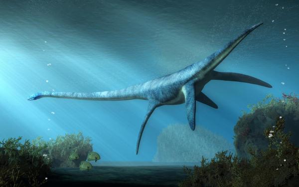 Were There Ocean Dinosaurs? - Elasmosaurus spp.