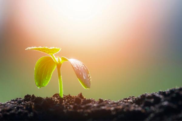 What Are the Different Types of Energy? - Electromagnetic or radiant energy