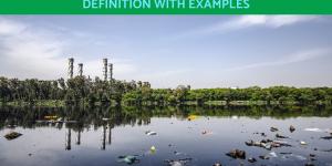 Environmental Degradation Definition With Examples