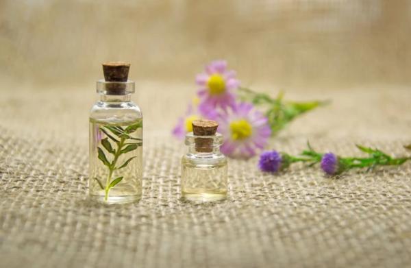 Best Home Remedies for Flies - Essential oils