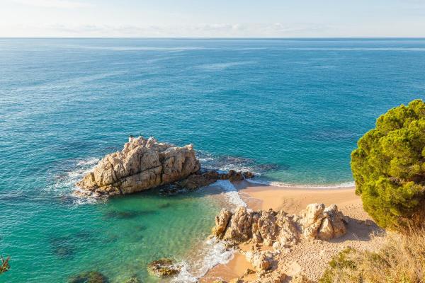 What Is a Coastline in Geography? - Examples of coastlines