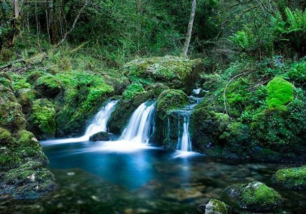 What Is a Lotic Ecosystem? - Examples of lotic ecosystems