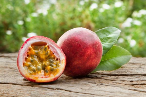 The Difference Between Organic and Inorganic Compounds - Examples of organic matter