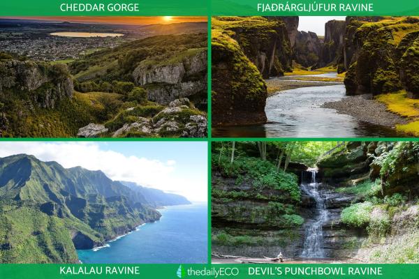 What Is a Ravine in Geography? - Examples of ravines around the world
