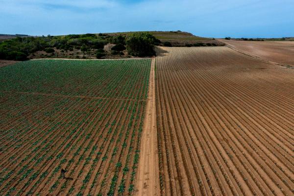 What Is Regenerative Farming? - Principles and Examples - Examples of regenerative farming techniques