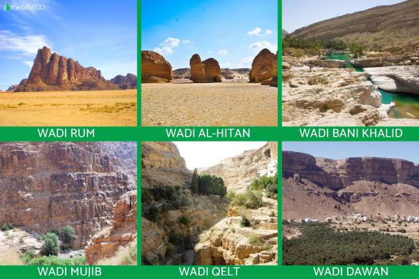 What Is a Wadi in Geography? - Examples of wadis in the world