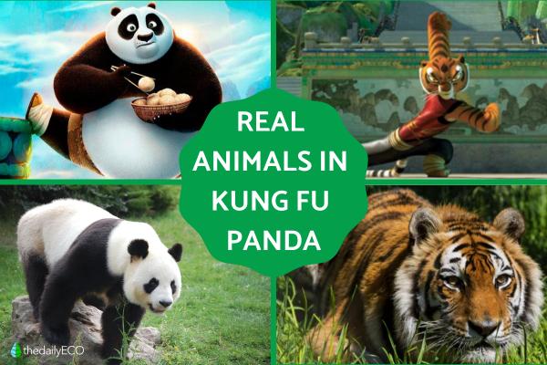 Exploring the Animals of Kung Fu Panda