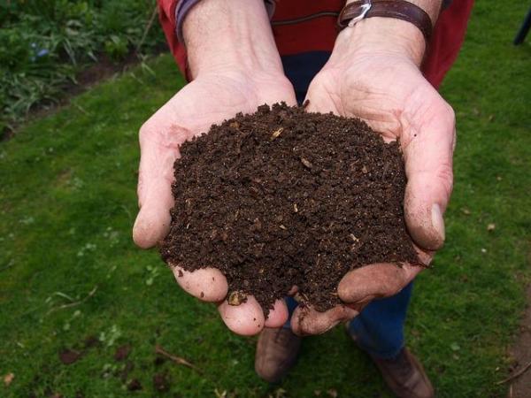 Best Homemade Organic Fertilizers for the Garden - Fertilizers and organic fertilizers for plants - the most recommended