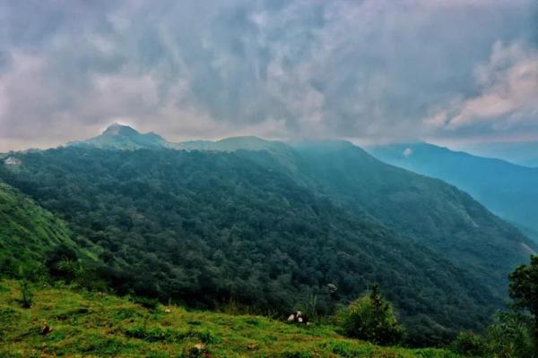 What Is Monsoon Climate? - Flora of the monsoon climate