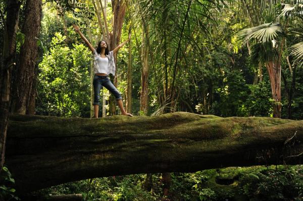 Forest Bathing - Discover the Power of Shinrin-yoku