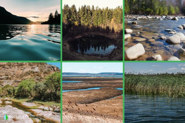 Different Types of Aquatic Biomes - Freshwater biomes