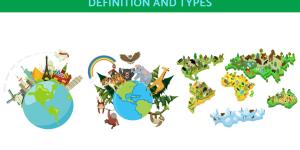 Geographical Space Concept - Definition and Types