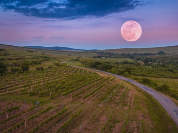 Why Is the Moon Important to Life on Earth? - Has a gravitational influence on ocean tides