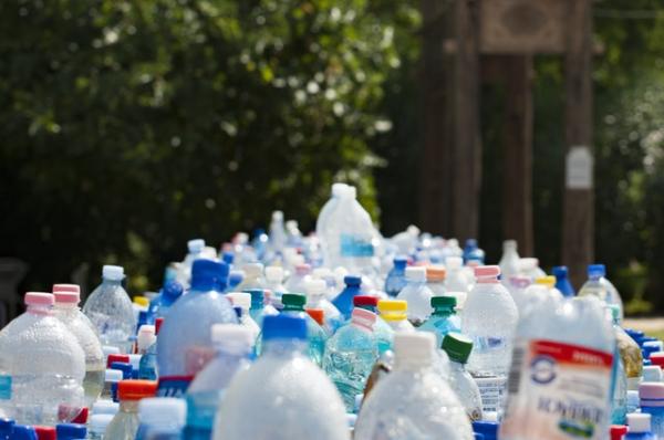 What Do Phthalates Do to Your Body? - Health effects of phthalates