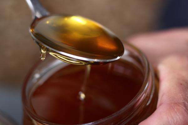 Best Home Remedies for Flies - Honey