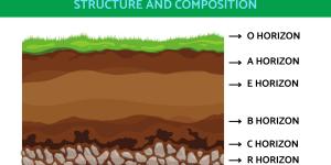 Horizon Layers of Soil - Soil Horizon Explanation