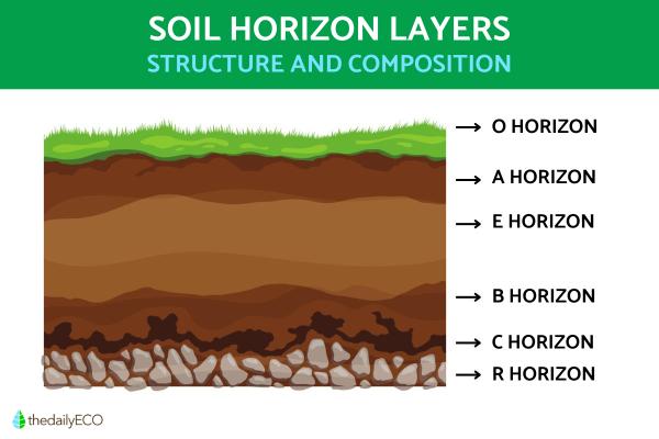 Horizon Layers of Soil - Soil Horizon Explanation
