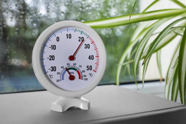 What Does a Hygrometer Measure? - How a hygrometer works
