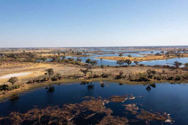 What Is a River Delta and How Is It Formed? - How a river delta is formed?