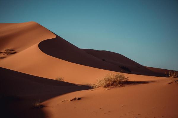 What Are Sand Dunes and How Are They Formed? - How are dunes formed?