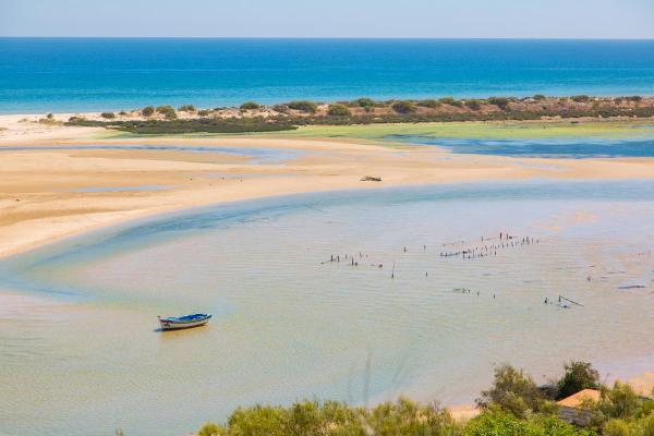 What Is a Estuary? - Formation, Importance & Examples - How are estuaries formed step by step?